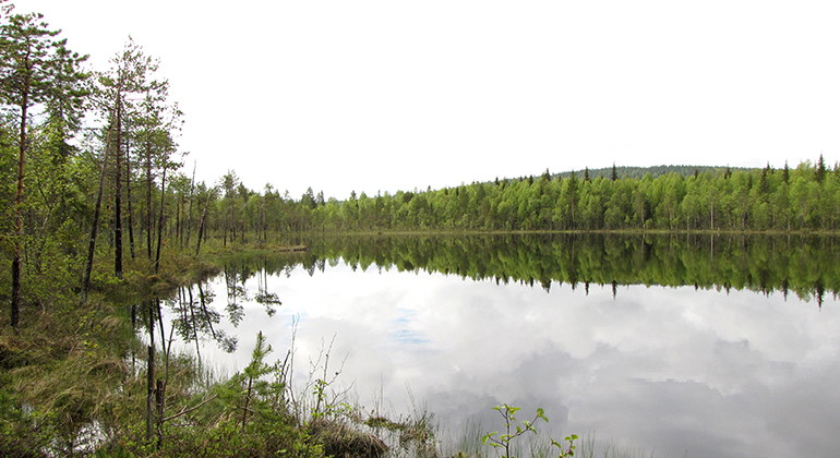 Stor-Klockarträsk.
