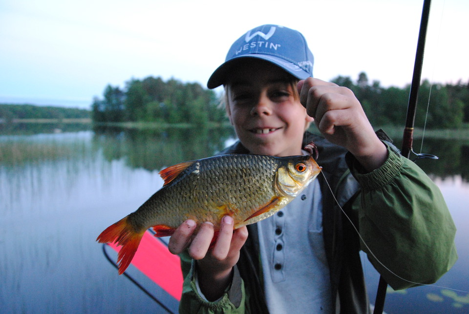 Lär dig mer om sarv