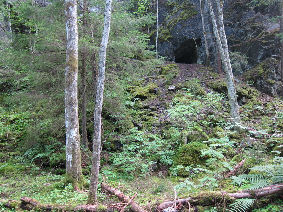 Klippskreva.