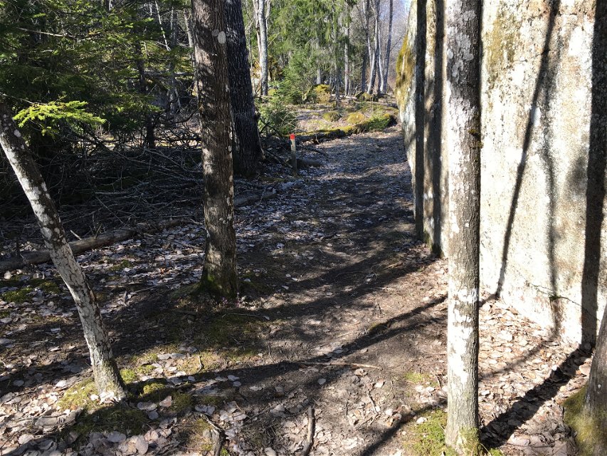 En stig med skog på ena sidan och ett stort stenblock på andra sidan. Vid stigen står en kort stolpe med röd stigmarkering.
