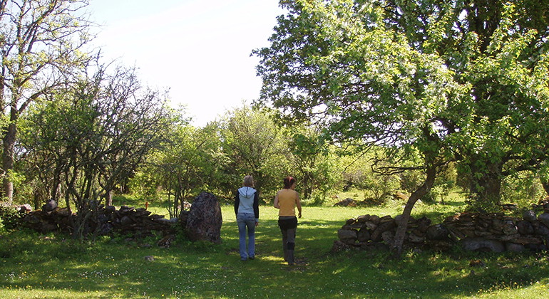 Besökare till reservatet