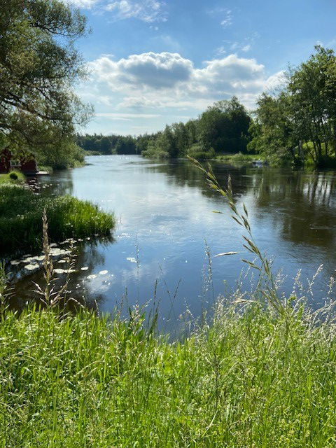 Fiske i Svartån