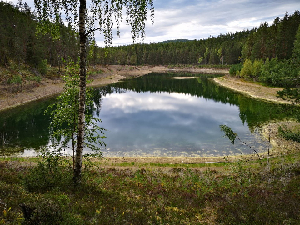 Gröntjärn