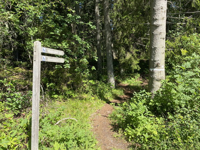 Stig, Ängskär