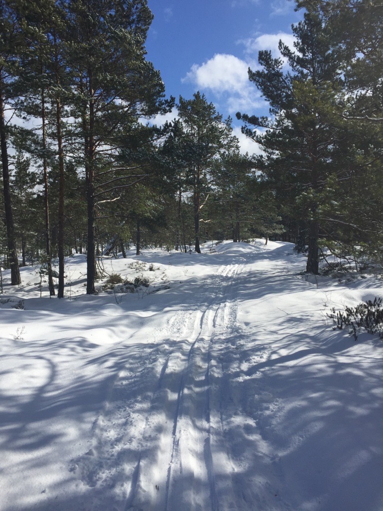 Håll koll på skidspåren