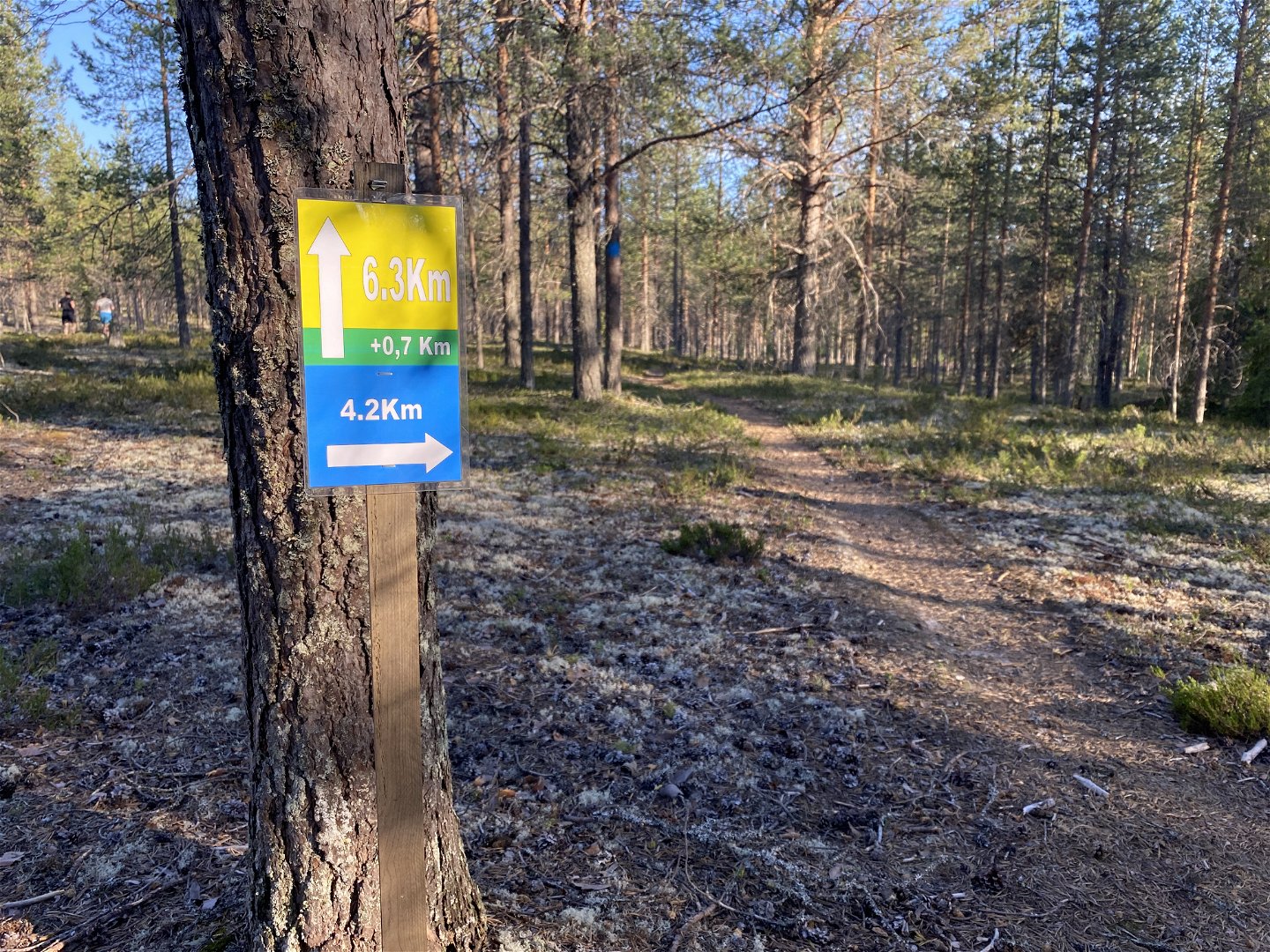 Well marked trails