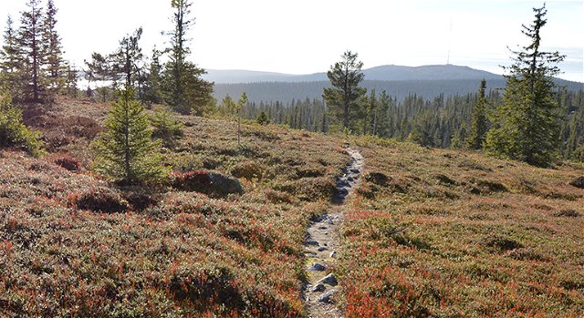 Trail 3 kilometres, Vittjåkk-Akkanålke