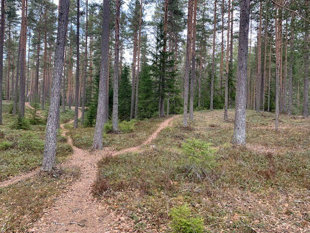 Långtjärnarna naturstigar