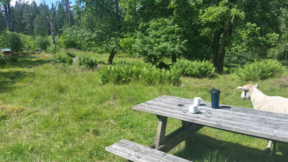 Värnamo kommun