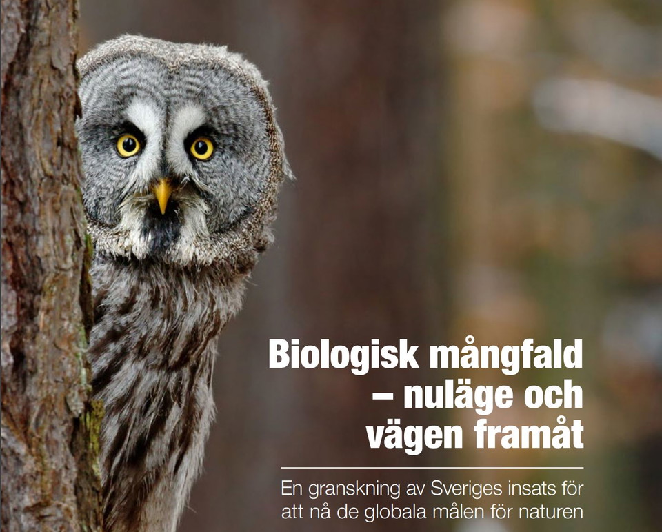 Biologisk mångfald - nuläge och vägen framåt
