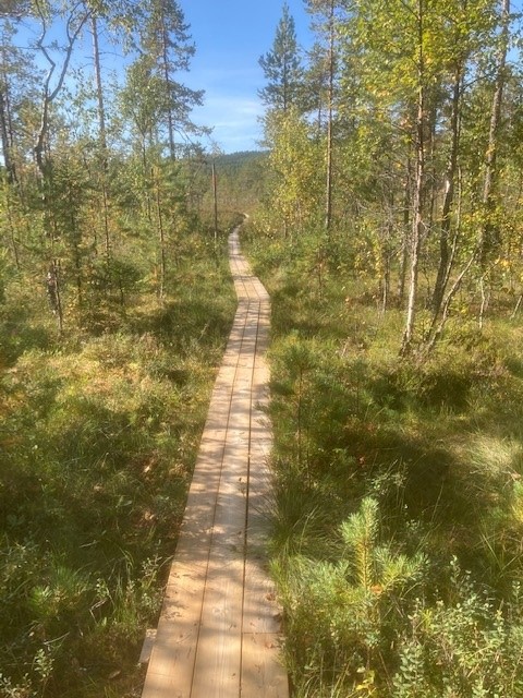 Fänstjärnsskogens vandringsled