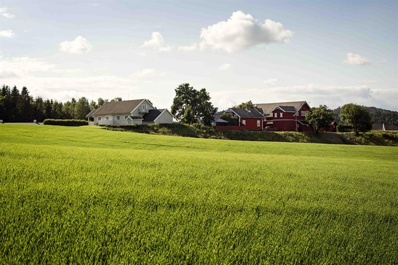 Bamsrudlåven, Mysen