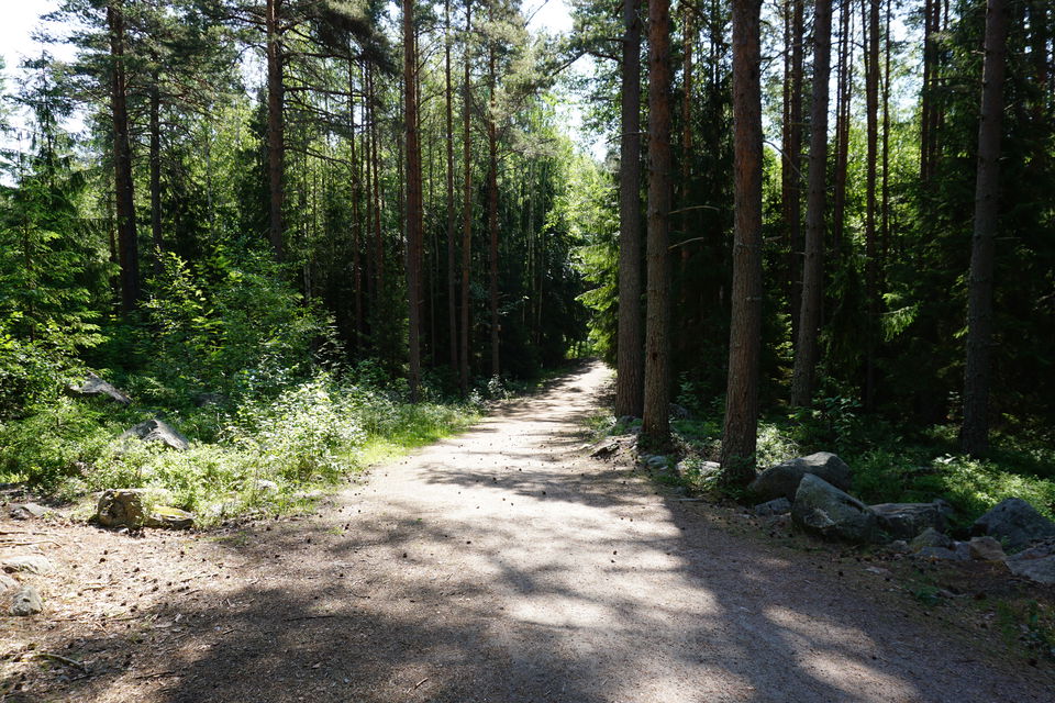 Motionsspår i skogsmiljö