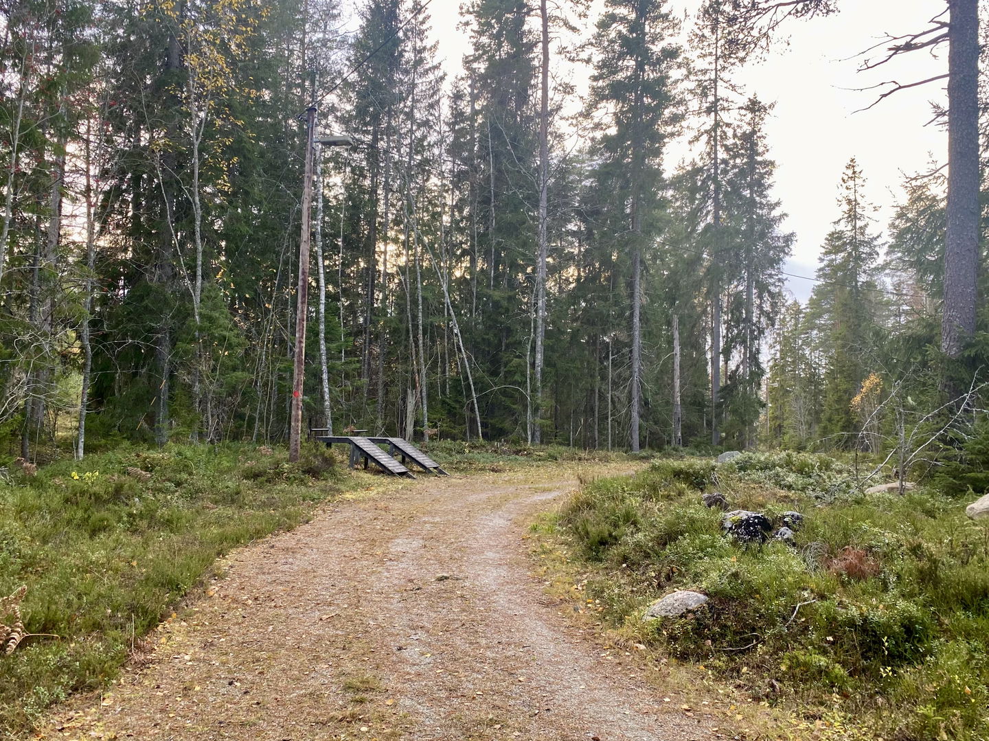 Gymstation längs elljusspåret