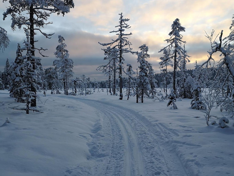 Skidspår i Harsa