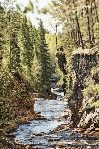 Brattfallet / Halgåleden