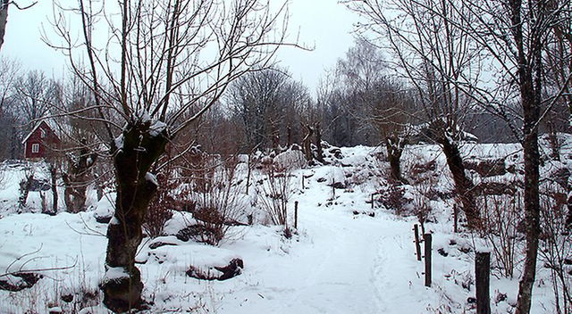 Mulatorp, Naturreservat