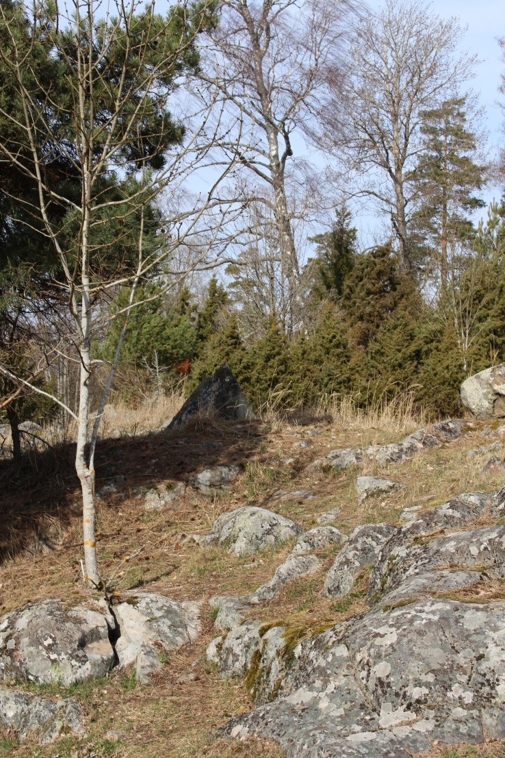 En kuperad, brant och mycket stenig terräng. Uppe på höjden finns många enbuskar. 