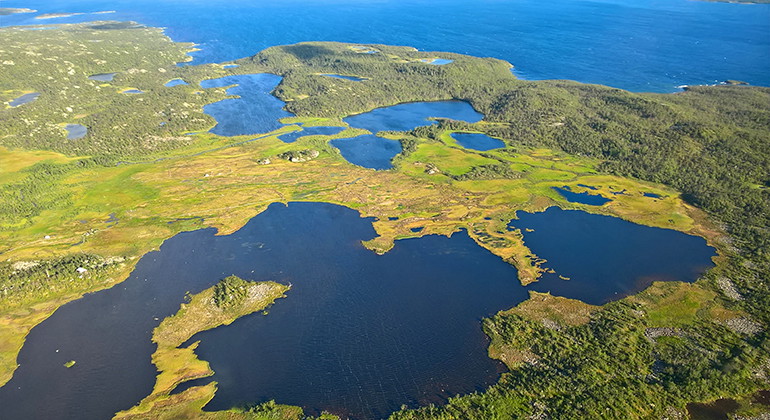 Flygfoto över Stordalens naturreservat.