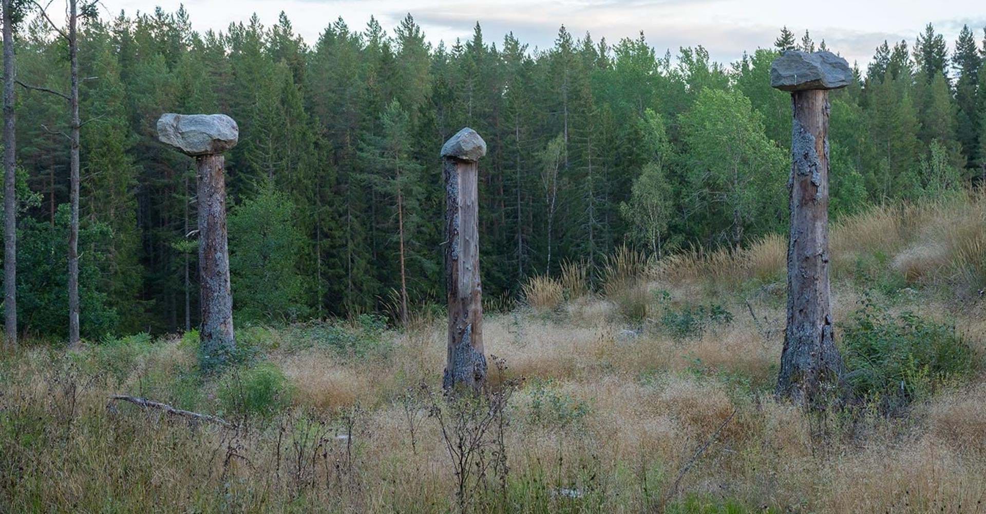 Trasken runt
Söderköping