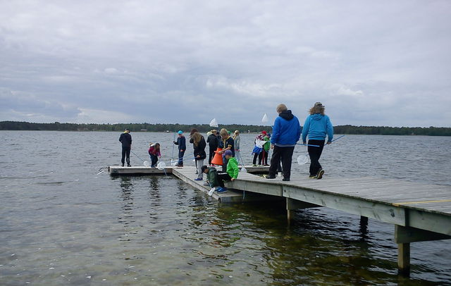 Knysselnackebryggan, Trollskogen