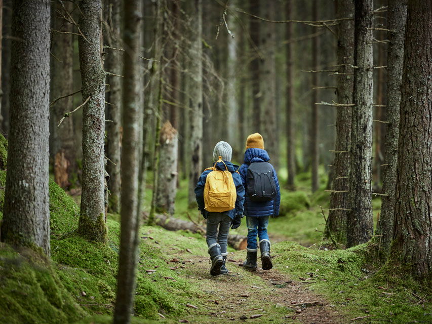 Två pojkar promenerar på mossig skogsstig bland höga barrträd.