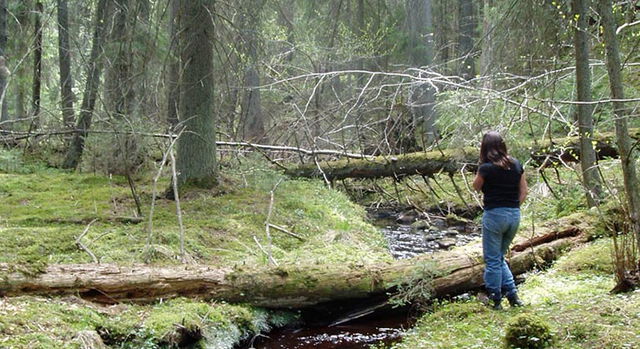 Norrängenbeståndet, Naturreservat