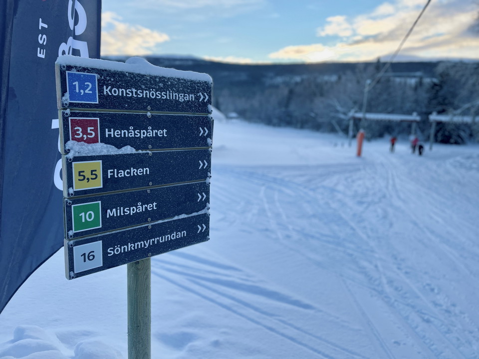 Skylt som pekar riktningen framåt 