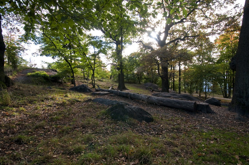 Ekar i Luma park