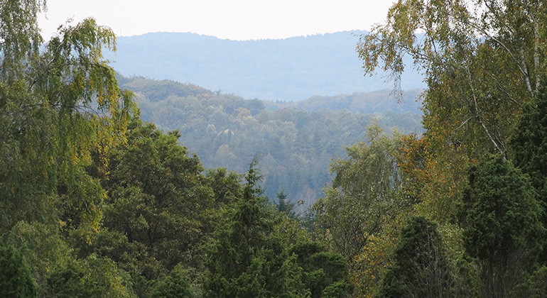 Utsikt från toppen.