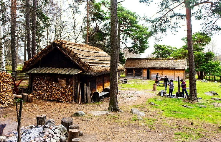 I södra delen av Smedbyskogen ligger vikingagården Gunnes Gård kan du uppleva miljön och livet på en bondgård från yngre järnåldern – den tid vi brukar kalla vikingatiden.