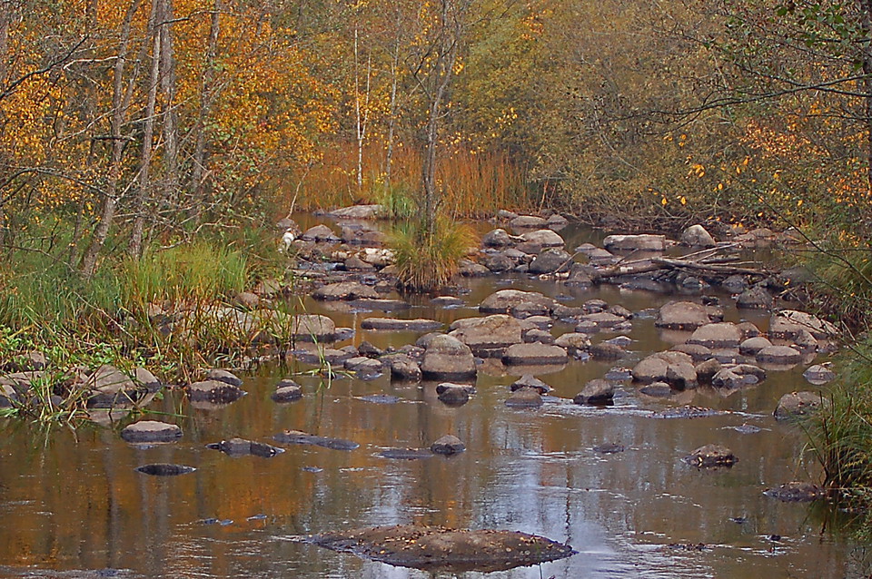 Fotograf: Tobias Ivarsson
