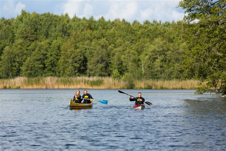 Tre personer paddlar en vacker sommardag i Djulösjön. 