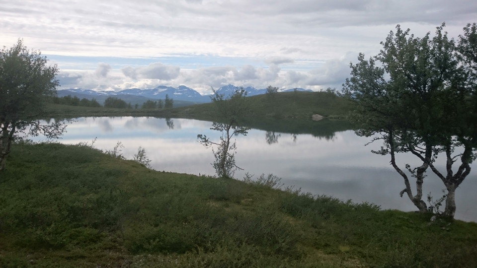 Tjärn längs leden.