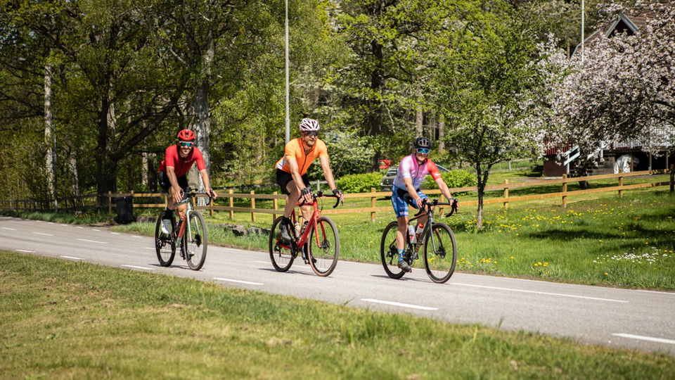 Tre cyklister med hjälmar och traditionella cykelkläder cyklar på en landsväg.