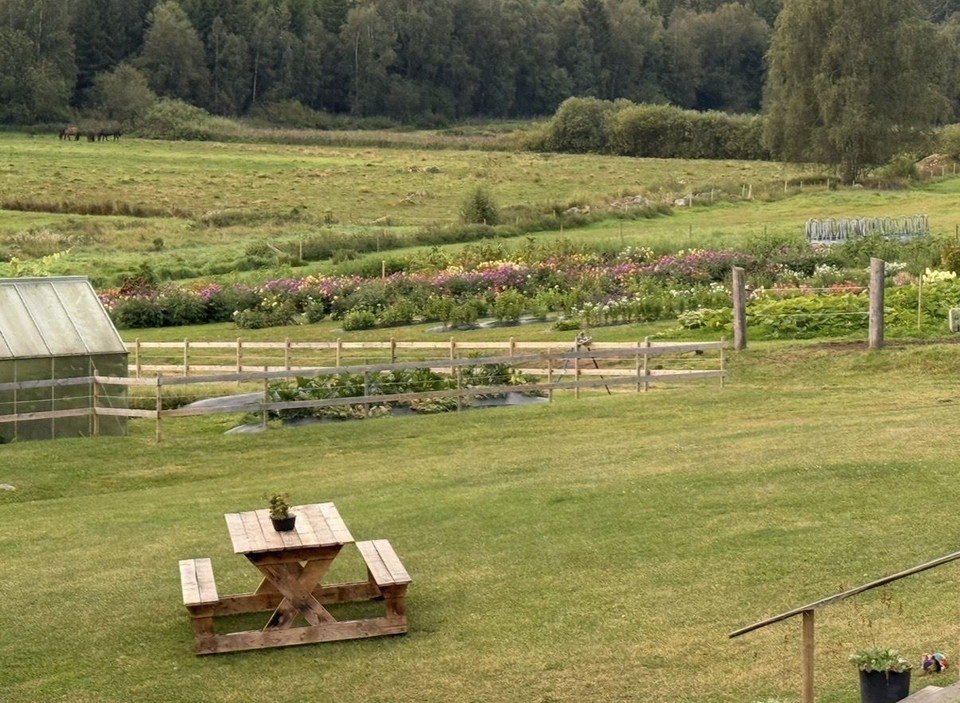 Gårdsbutiken