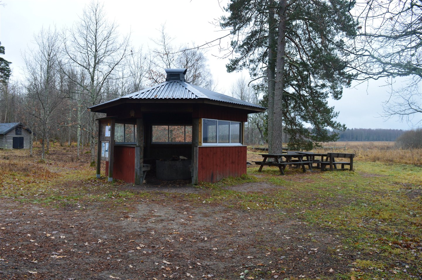 Ett vindskydd står på en öppen plats med skog i bakgrunden. Bredvid vindskyddet står flera bänkbord.