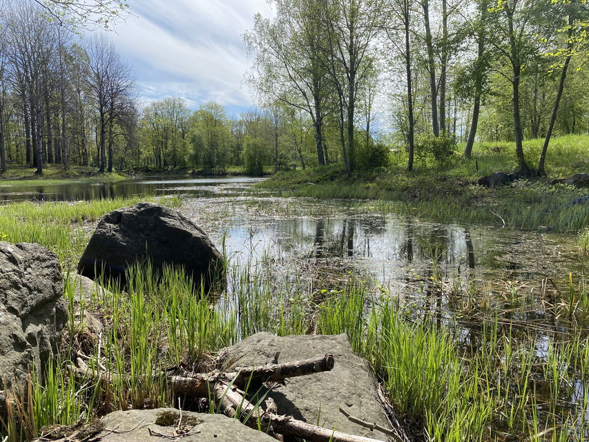 Stenar på en kanten av ett vattendrag. 