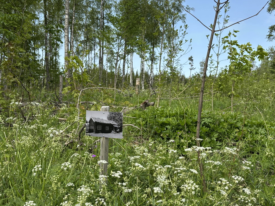 Foto över Löfmarken 