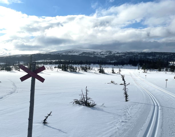 122 Älgbergsrundan (vinterled, Edsåsdalen)