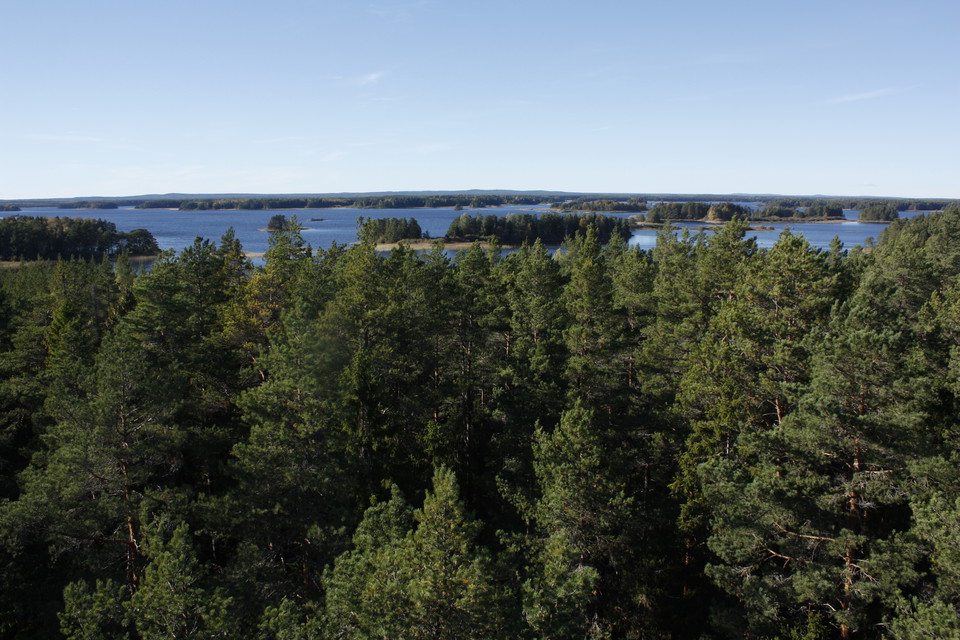 Utsikt från tornet vid Skekarsbo.