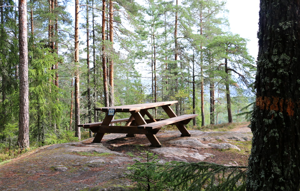Picknickbord med bänkar.