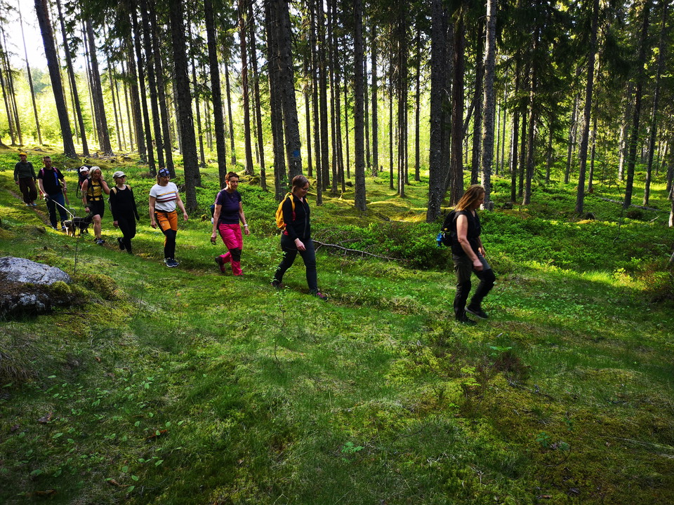 Klövsvallen - Nyvallen