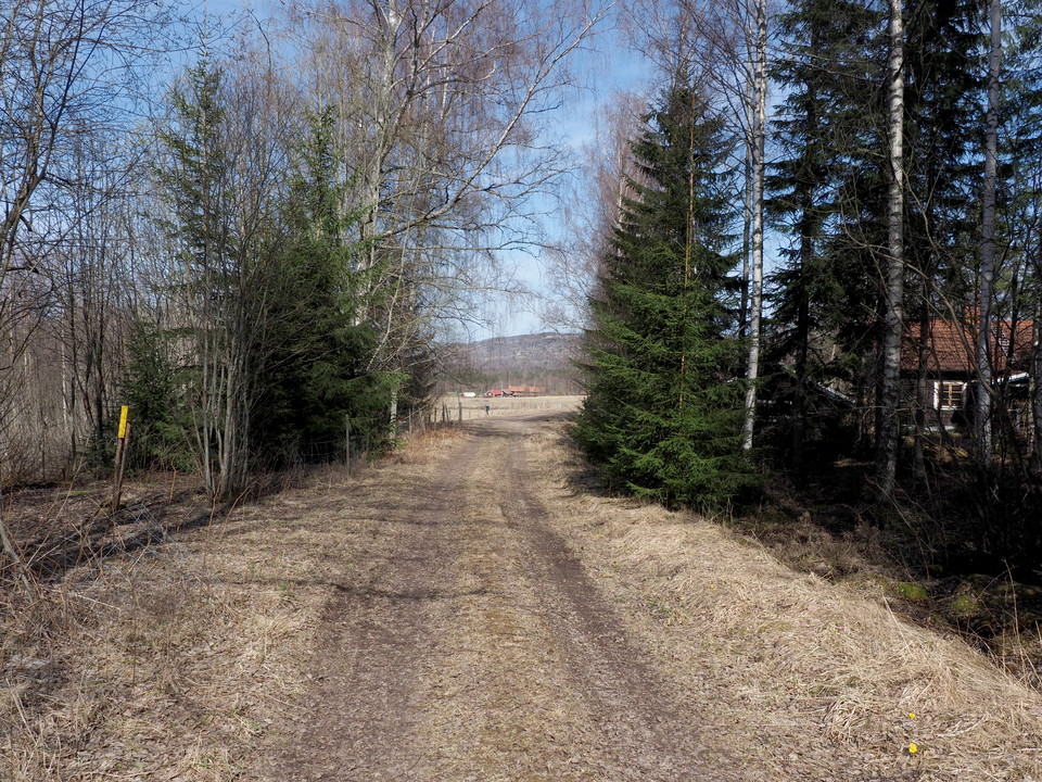 Gamla landsvägen i Kullsbjörken