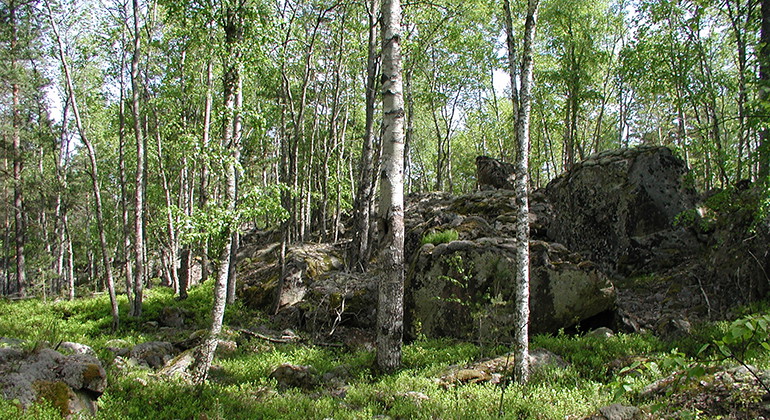 Fotograf: Roland Persson