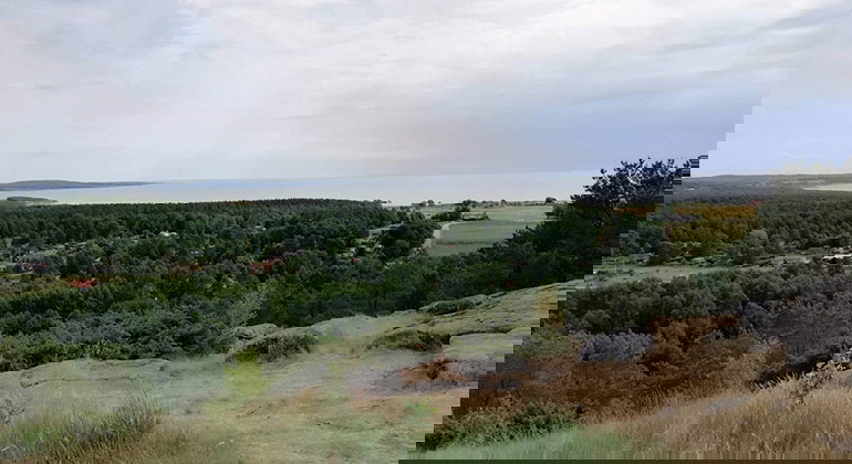 Vy över träd och vatten