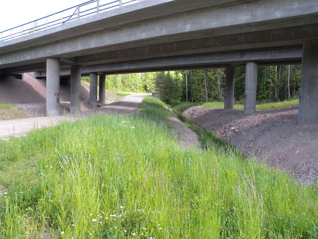 Entre Grönanvägen Södra Törnskogens naturreservat