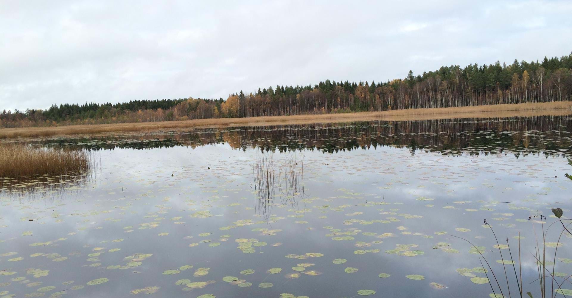 Nartorp - Stegeborg, Östgötaleden