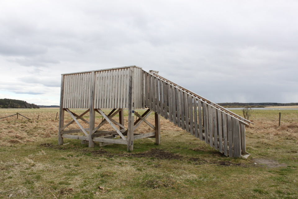 Vid en strandäng står ett fågeltorn med en våning. En trappa med handräcken leder upp till tornet. 