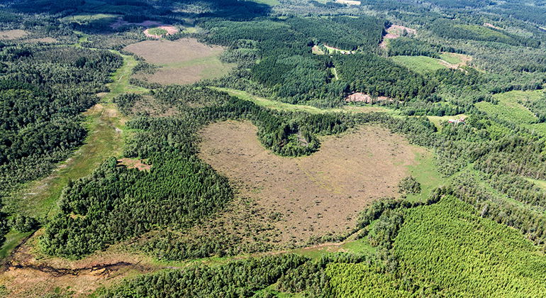 Flygbild över Djurholmamossen med omnejd.